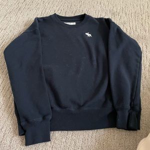 Abercrombie and Fitch Kids Sweat Shirt
